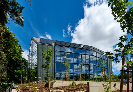 Gyetvai Fivérek Zrt